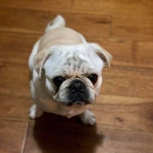 Meet your Posher, Mike